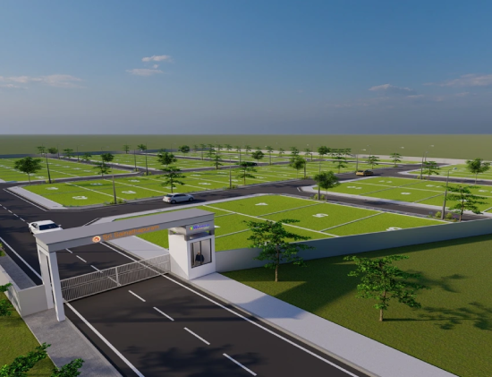 Dream City Real Estate